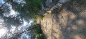 Enlarge photo 56