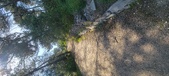 Enlarge photo 57