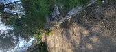 Enlarge photo 58