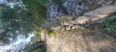 Enlarge photo 61