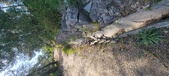 Enlarge photo 62