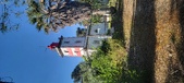 Enlarge photo 65