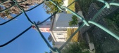 Enlarge photo 75