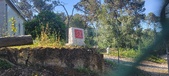 Enlarge photo 80