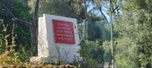 Enlarge photo 81