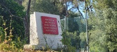 Enlarge photo 82