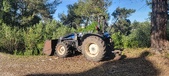 Enlarge photo 84