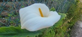 Enlarge photo 102