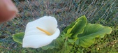 Enlarge photo 104