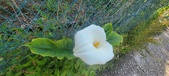 Enlarge photo 106