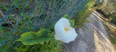 Enlarge photo 107