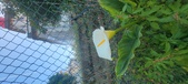 Enlarge photo 108