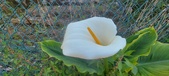 Enlarge photo 112