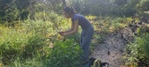 Enlarge photo 125
