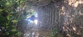 Enlarge photo 123