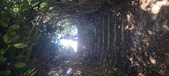 Enlarge photo 124