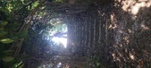 Enlarge photo 126