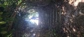 Enlarge photo 127