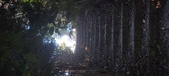 Enlarge photo 130