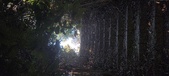 Enlarge photo 131