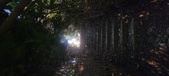 Enlarge photo 132