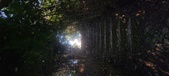 Enlarge photo 133