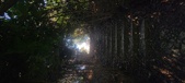 Enlarge photo 136