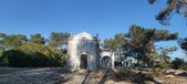 Enlarge photo 138