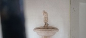 Enlarge photo 158