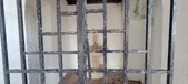 Enlarge photo 159
