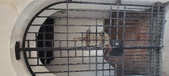 Enlarge photo 160