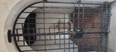 Enlarge photo 162