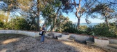 Enlarge photo 164