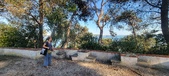 Enlarge photo 166