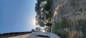 Enlarge photo 181