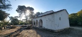 Enlarge photo 183