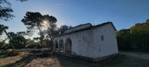 Enlarge photo 184