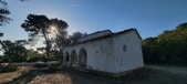 Enlarge photo 185