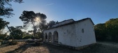 Enlarge photo 186