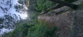 Enlarge photo 187