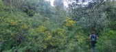 Enlarge photo 189