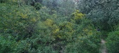 Enlarge photo 190