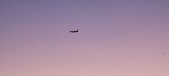 Enlarge photo 146