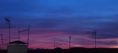 Enlarge photo 103