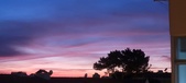 Enlarge photo 105