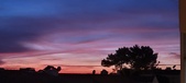 Enlarge photo 100