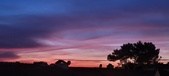 Enlarge photo 99