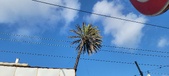 Enlarge photo 187