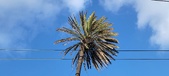 Enlarge photo 186