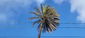 Enlarge photo 185